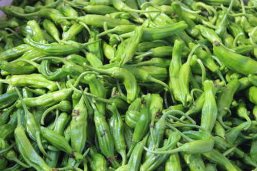 Shishito Peppers